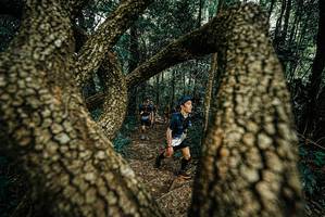 BIB: 
                            <button type="button" onclick="openModal(25668040)" class="btn btn-primary btn-sm float-right btn-popup" data-toggle="modal" data-target=".modal-high-quality">
                        <i class="fas fa-shopping-cart"></i> Add to Cart
                    </button>
                                            <button type="button" onclick="isThisMe(25668040, true)" class="btn btn-success btn-sm float-right btn-popup btn-isme hidden" data-toggle="tooltip" data-placement="bottom" title="นี่คือรูปของคุณใช่ไหม คลิกที่นี่เพื่อเอาเข้าอัลบั้ม">
                        <i class="fas fa-plus"></i> Add to album
                    </button>
                    <button type="button" onclick="isThisMe(25668040, false)" class="btn btn-warning btn-sm float-right btn-popup btn-isnotme hidden">
                        <i class="fas fa-ban"></i> Remove from album
                    </button>